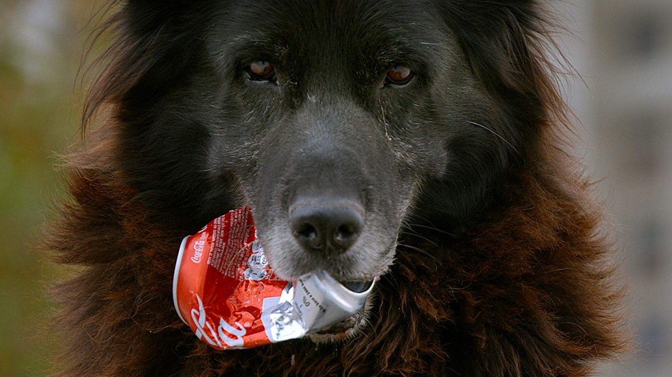 MV5BYTQ0MWE2MjctODYyNy00M2YwLTk0NzItYThhYTIyM2YwMGU5XkEyXkFqcGdeQXVyNDU4Mzg5Ng@@._V1_SX1777_CR0,0,1777,999_AL_