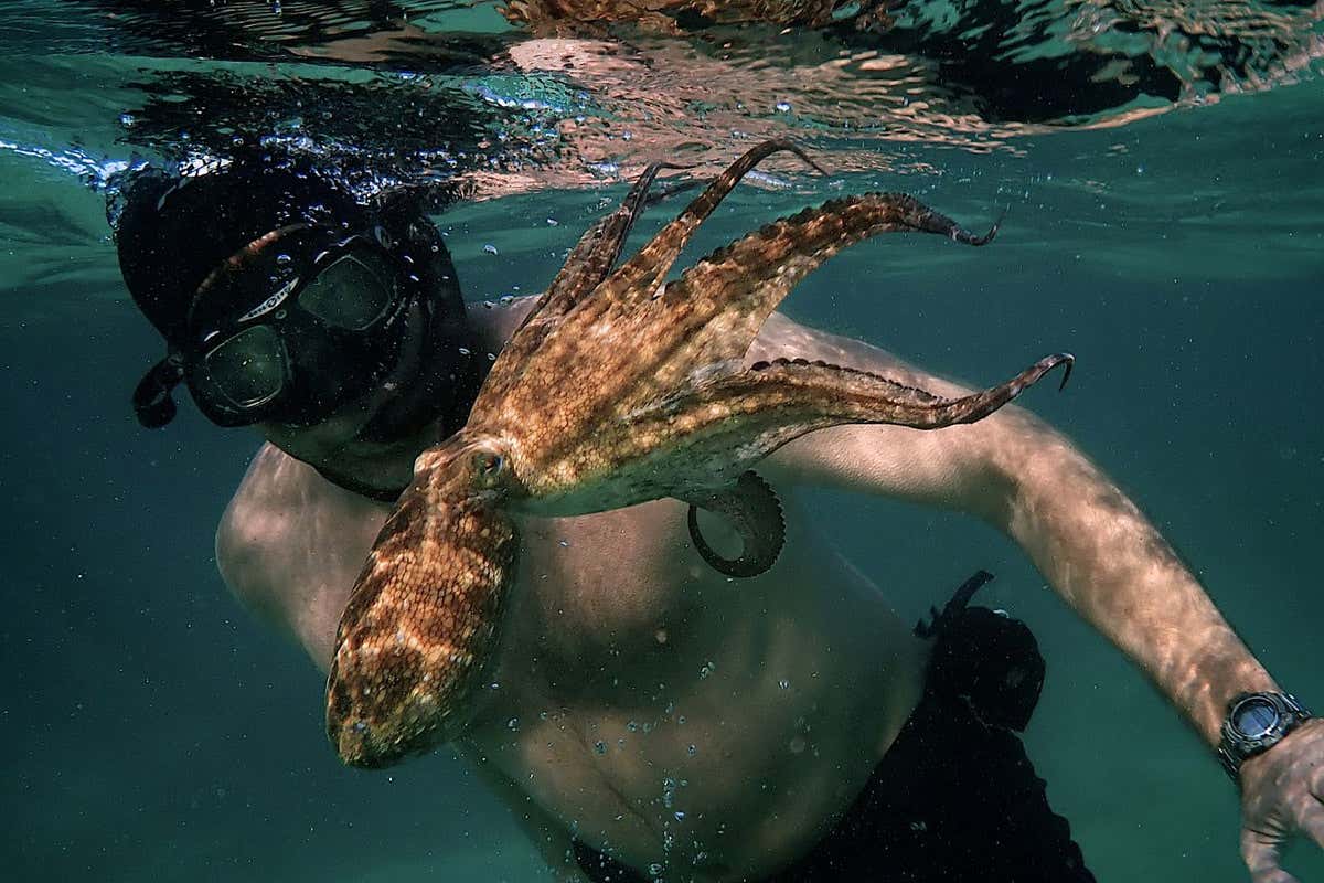 5e9da8c93c888271060236_web