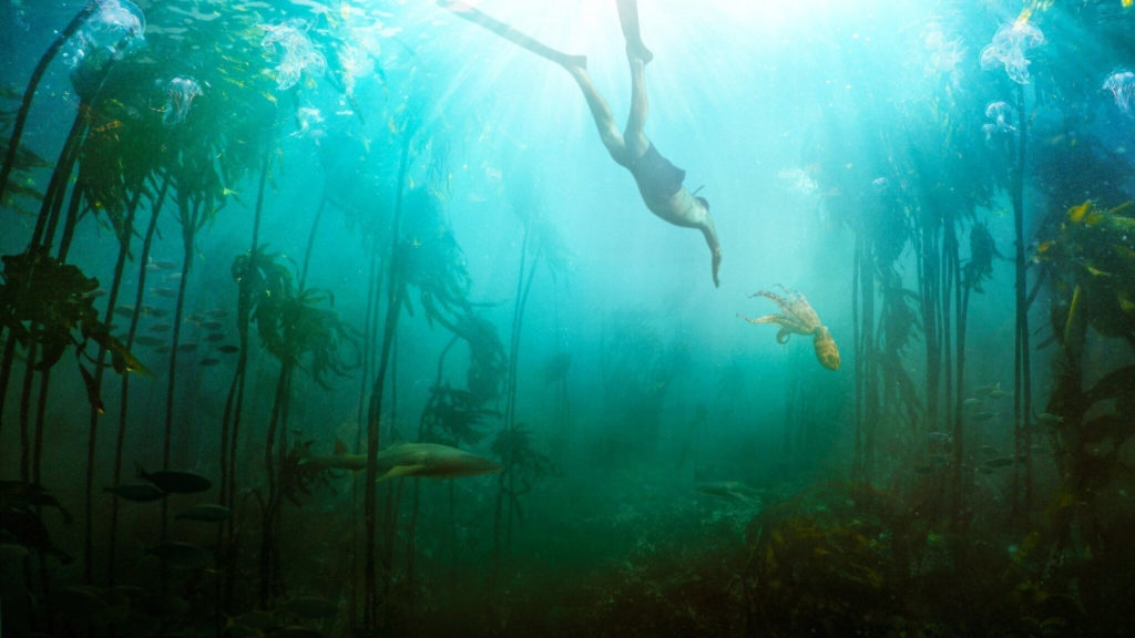 My-octopus-teacher-2-1024x576