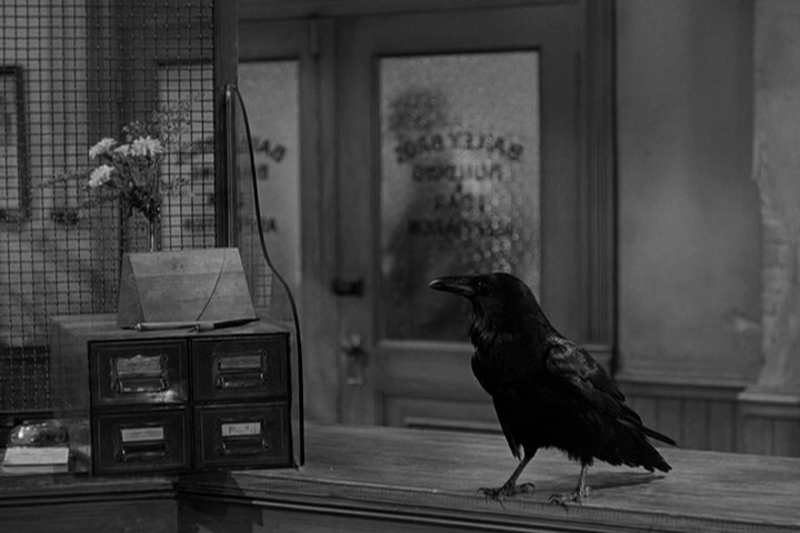 Jimmy_the_raven_in_It's_a_Wonderful_Life