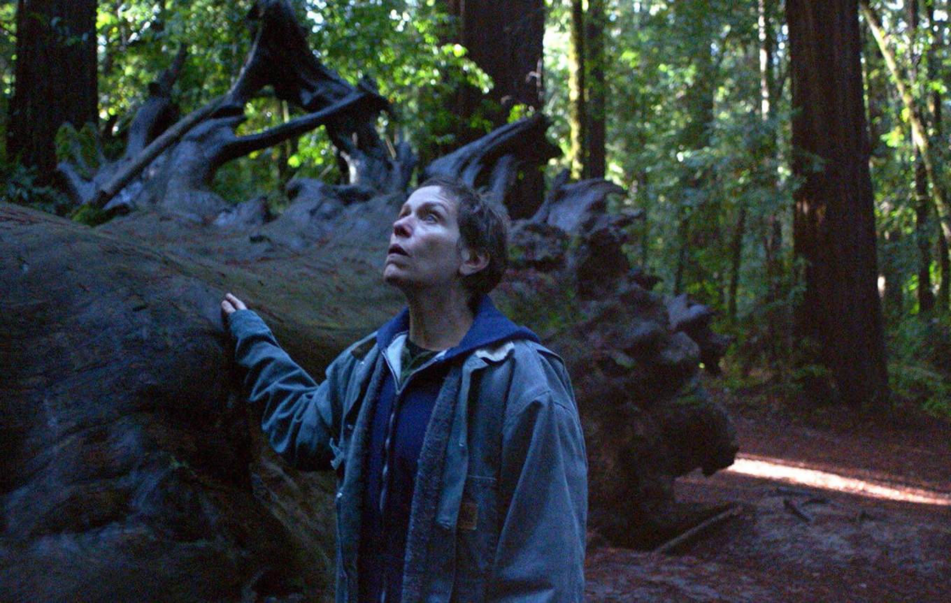 Nomadland_Francis_McDormand_Still