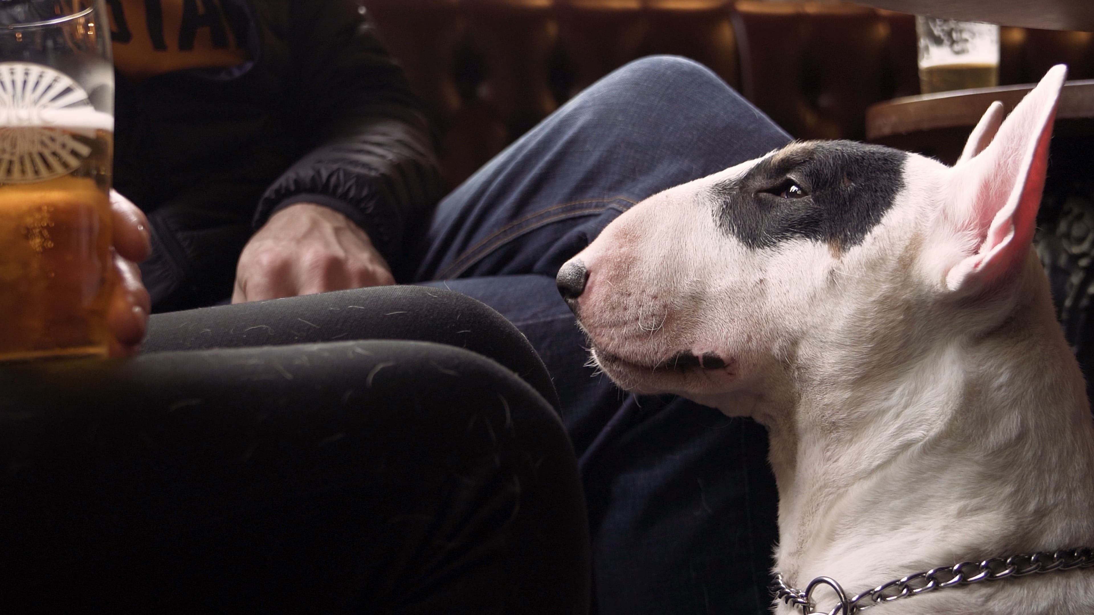 zbIeoG1HOhiwNmm2Vxjp3xt4vp0