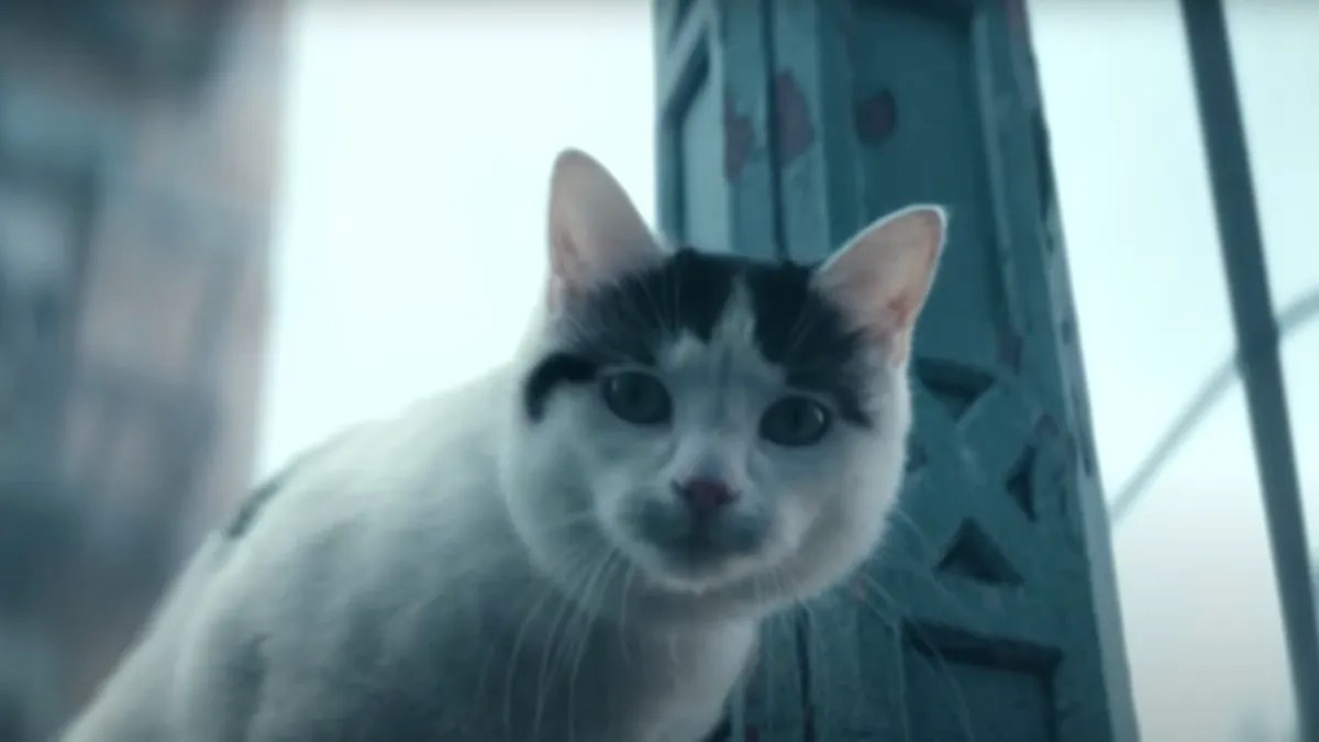 frodo-cat-a-quiet-place-day-one-667c0a534e85b