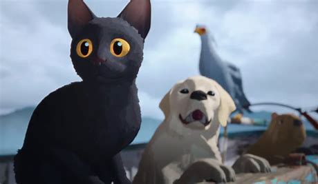 CAT: I better be alert to danger. DOG: Ready for fun!